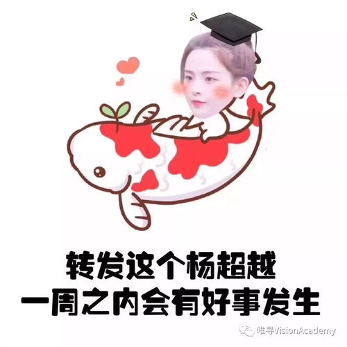  alevel放榜日转发了超越锦鲤,刚查到的成绩竟然是...