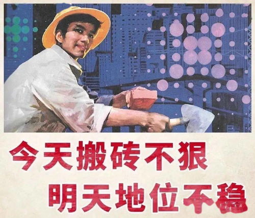  这几所211高校研究生就业率力压清华考上还怕内卷吗