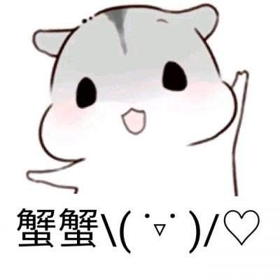  仓鼠真的适合当宠物吗