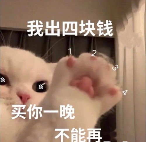  每日沙雕表情包
