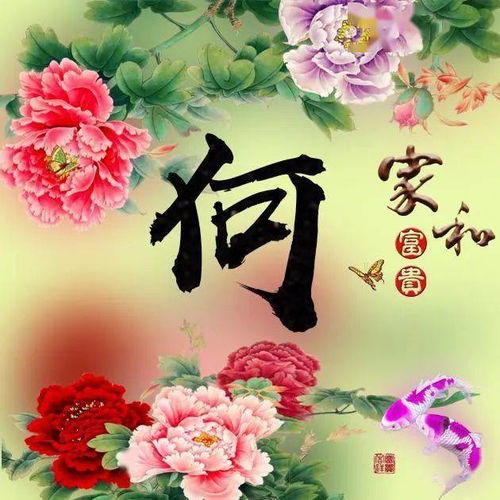  牡丹花开美不胜收换作自己的头像,花开富贵