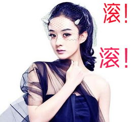 带字的微信头像免费赵丽