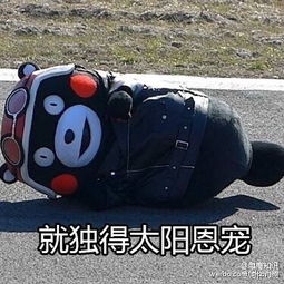 太阳总冠军表情包