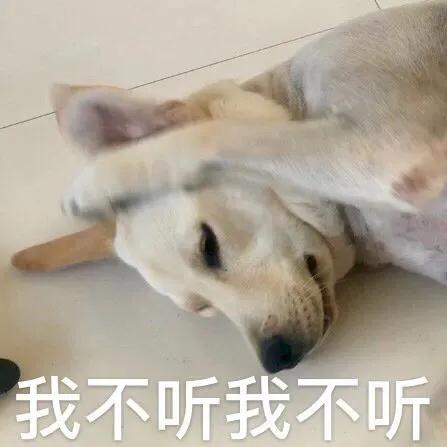  咦,那傻逼人呢
