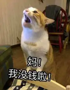  别不承认了,这就是放暑假时在家的你