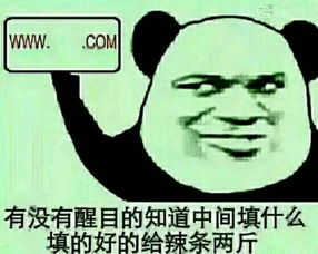  看图片回答问题