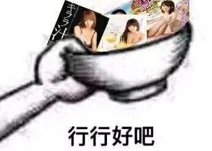  社会阅历上升了mur猫表情包憨憨猫mur猫魔性猫咪表情包