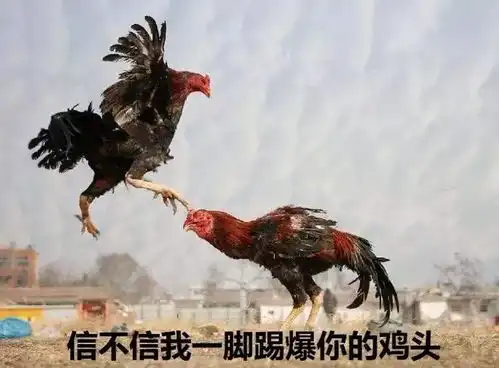  鸡年表情包很好笑管好你自己