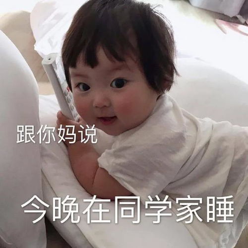  罗熙黄夏温表情包和你妈说,今晚在同学家睡
