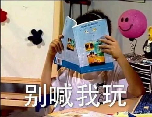  送命题这些期末题目看哭学生