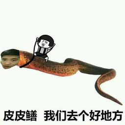  现在很牛,不知道下一秒还牛不牛