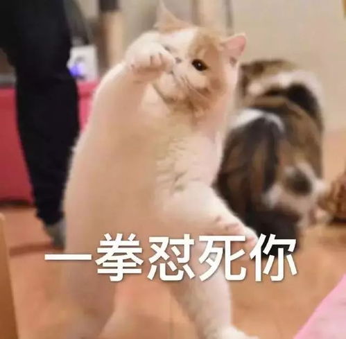  表情包抢红包啦,一起来嗨呀