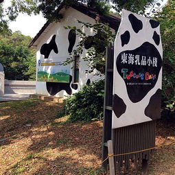 2019东海大学门票,台中东海大学游玩攻略,东海大学游览攻略路线地址门票价格