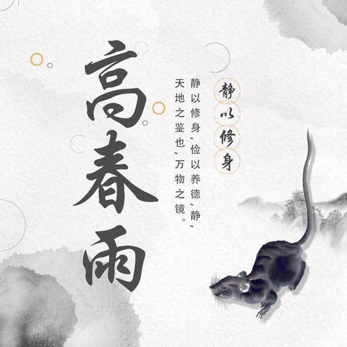  2019年新款十二生肖手机壁纸,生肖壁纸,微信头像,喜欢快来带走