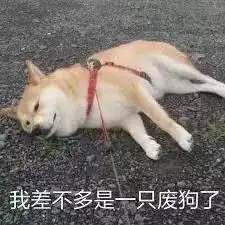 找工作好难表情包面试