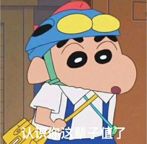  蜡笔小新表情包合集