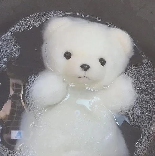  语文课本里一眼万年的句子