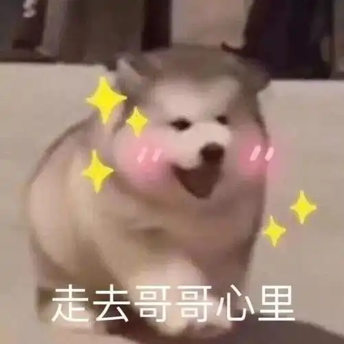 聊天必备沙雕表情包
