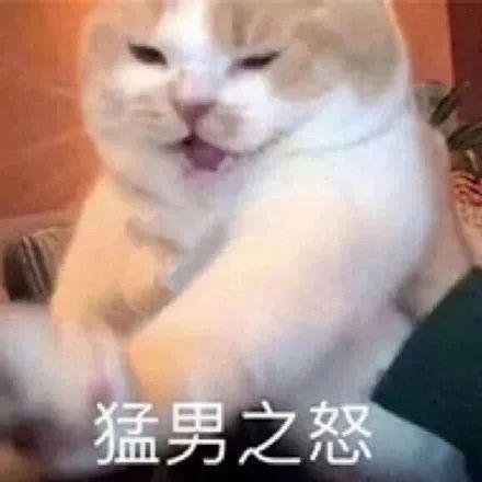 腹肌表情包可爱本尊