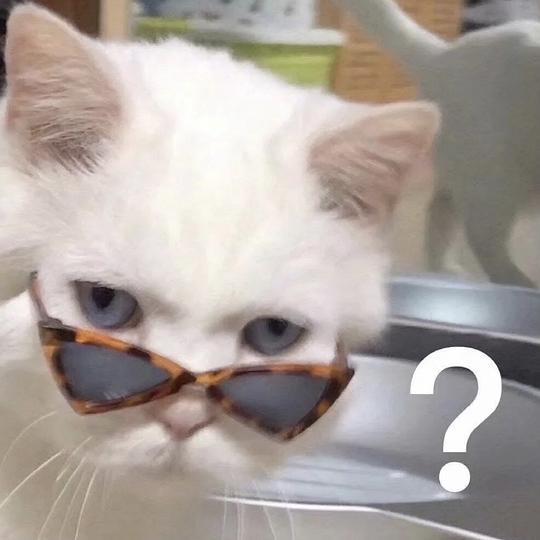  玫瑰沾白糖的相册天使猫猫的表情包