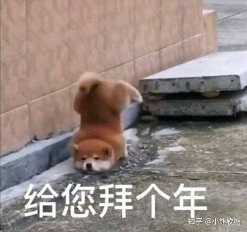 拜年表情包简笔画春节