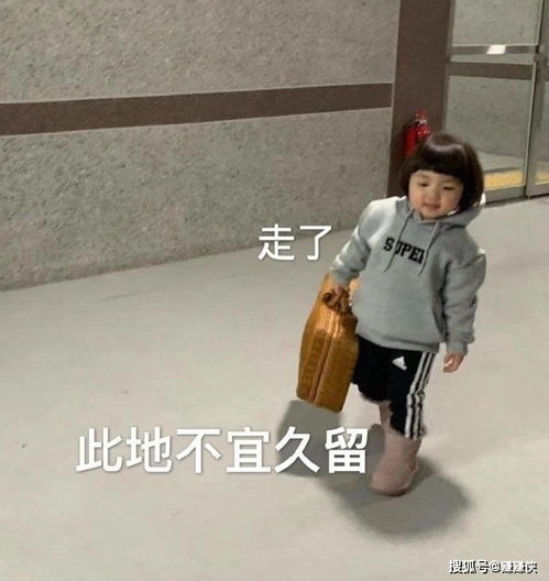  爆火表情包图片没事,小场面