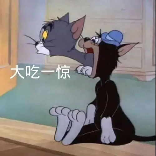 汤姆猫看报纸表情包沙雕