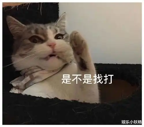 我们村的武林高手,果然不同凡响,想到了开始没想到结果