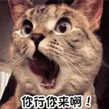  搞怪小猫表情包