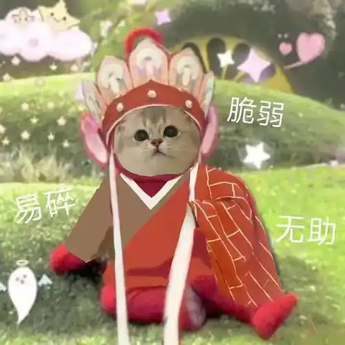  带瑶妹你拿什么边路