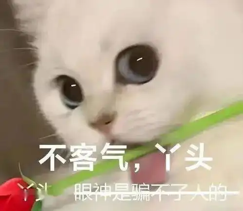  季羡林的日记分享好家伙找到了我和大师的共通之处