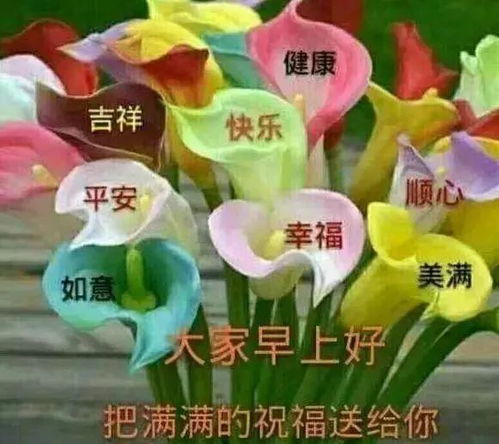  最新早安经典问候语录,微信早上好动态表情图片