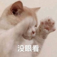  分手吧算命大师说我要处满四十九个女朋友哈哈哈太渣了