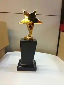  跑步比赛奖杯奥斯卡金银铜奖杯图片金人奖杯价格