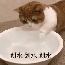  表情包该说不说,讲究