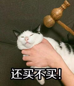  当你逛商城想买衣服时,好魔性的一组表情包