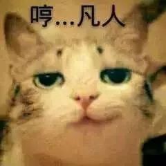  为什么很多人聊天都喜欢用猫咪表情包附最全猫咪表情包