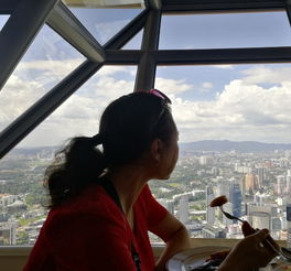  和妈妈的马来西亚和巴厘岛退休旅行持续更新中