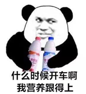 金馆长熊猫表情包无字小