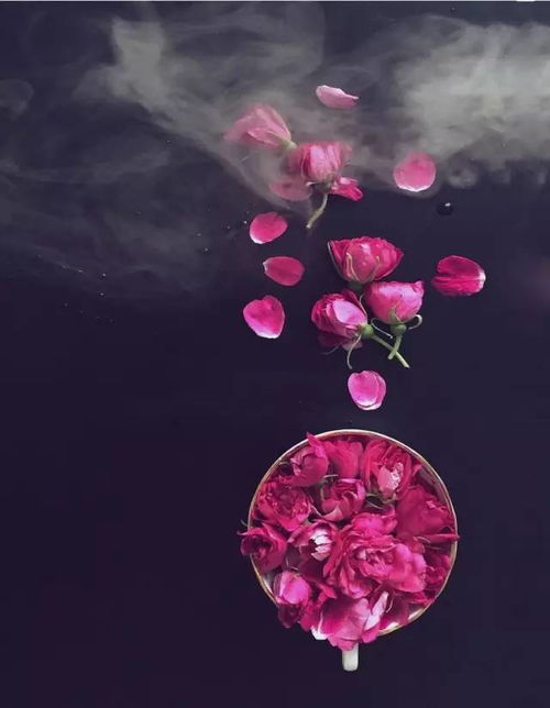  红韵品读念恋,依然在白浪河畔