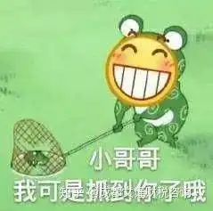  成都审计公司清算审计主要审什么如何进行