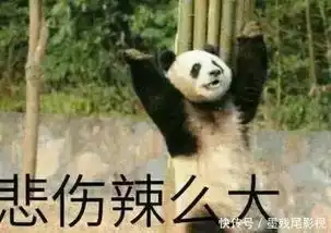  大熊猫要告诉世界,熊族永不为奴,除非包吃包住