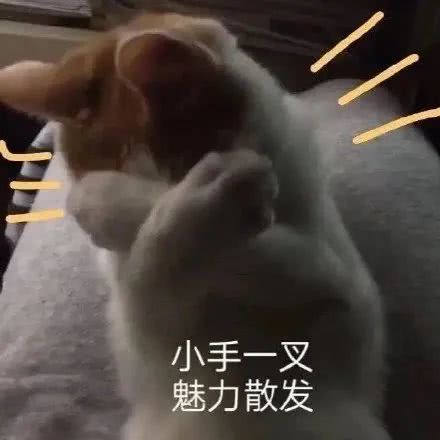  又一部肌肉神剧热播在家快速增肌有奇招