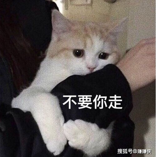  男女表情包单身,建议分手