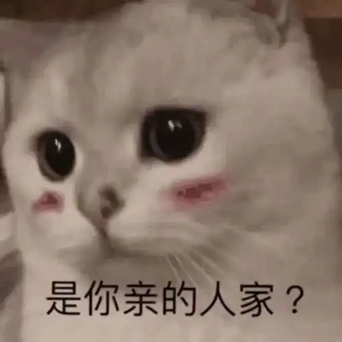  搞笑表情包图片我没事,我很好,我开车去接你