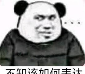  斗图表情包爸爸这就来,带你上分