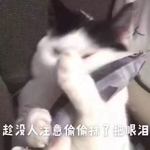  8级大风大雨大降温,天气马上大反转