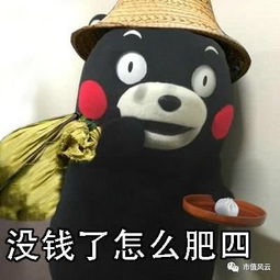 5大表情包研报