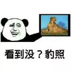  熊猫头表情包i你已经凉了兄弟