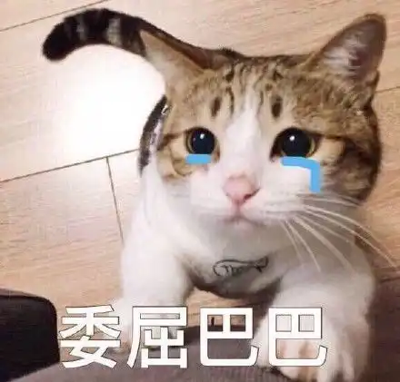  委屈巴巴猫表情包